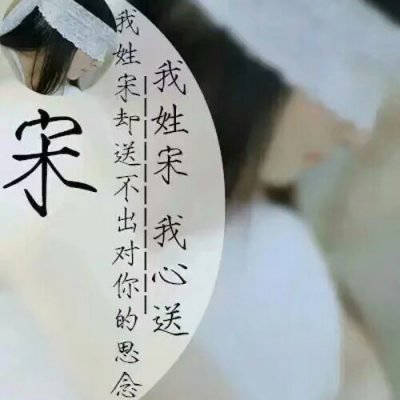 宋姓微信头像图片大全(共15张)