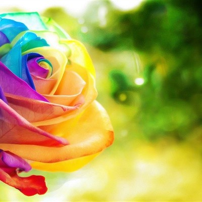 给女人带来好运的头像(优选24张)