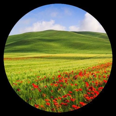 带来好运的风景头像图片大全(优选26张)