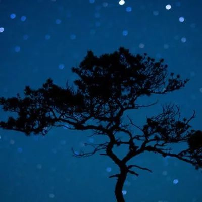 带来好运的风景头像图片大全(优选26张)