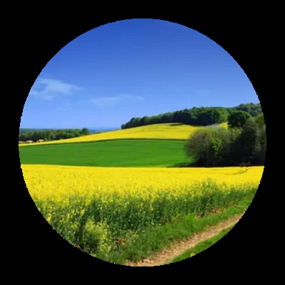 带来好运的风景头像图片大全(优选26张)