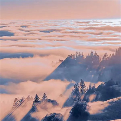 带来好运的风景头像图片大全(优选26张)