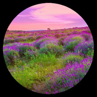 带来好运的风景头像图片大全(优选26张)