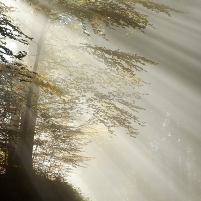 带来好运的风景微信头像图片(精选20张)