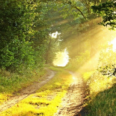 带来好运的风景微信头像图片(精选20张)