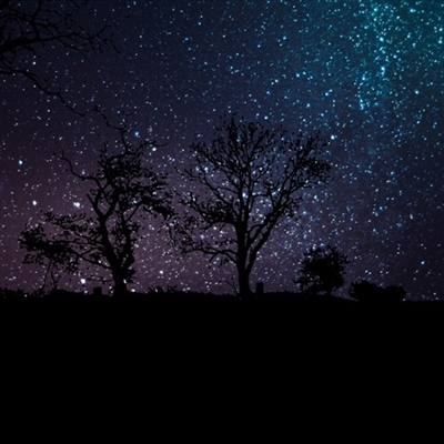 带来好运的风景微信头像图片(精选20张)