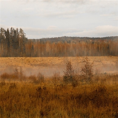 带来好运的风景微信头像图片(精选20张)