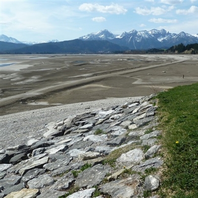 带来好运的风景微信头像图片(精选20张)