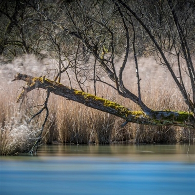 带来好运的风景微信头像图片(精选20张)