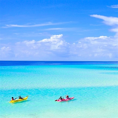 好看的高清头像图片大全(优选16张)