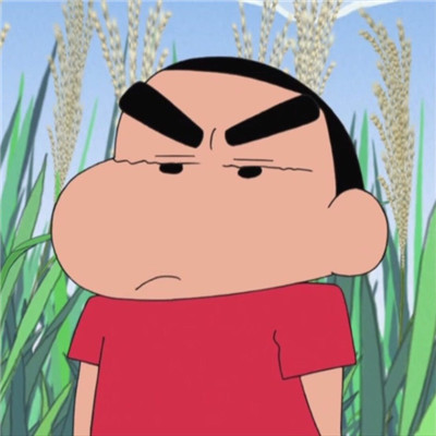 女生专用蜡笔小新头像(共18张)