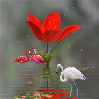 好看又带来好运的微信头像(22张)