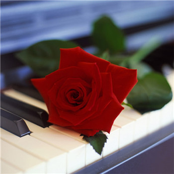 好看又带来好运的微信头像(22张)