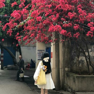 美女头像背影高清头像(共22张)