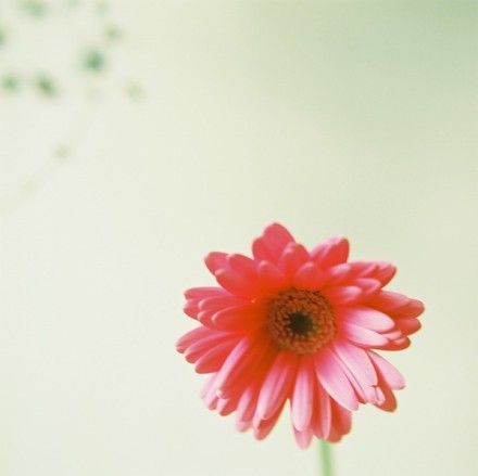 100句感悟人生哲理句子_赠人以言重于珠玉