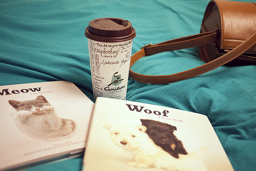 最深情的表白句子_爱一个人是不求回报的