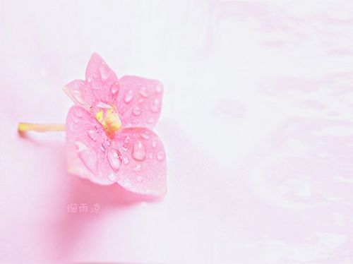 百里挑一超经典搞笑说说 北京的交通差点饿死人