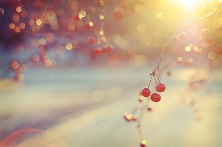 四十岁人生感悟的句子