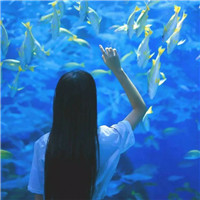 相似姐妹头像3张