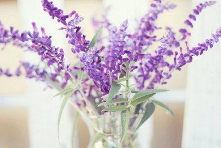 道早安的唯美句子