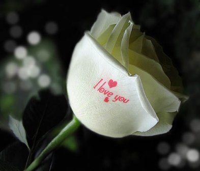 唯美温馨的爱情说说带图片