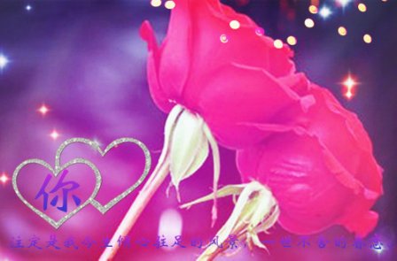 唯美温馨的爱情说说带图片