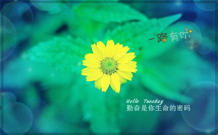 表达心情很伤感的句子