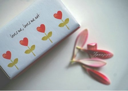 夏天优美的句子赏析