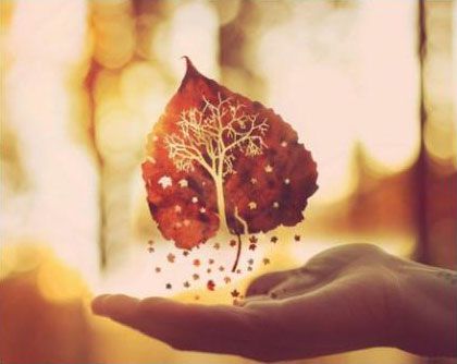 看淡人生感悟的句子