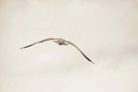 关于友情的简短唯美句子