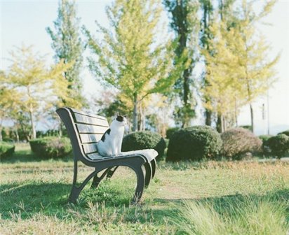 思乡的唯美句子