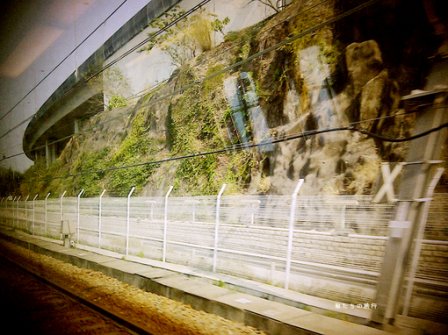 生老病死感悟的句子