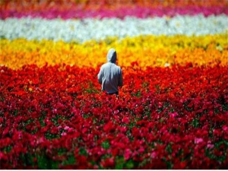 最奇葩的微信名字