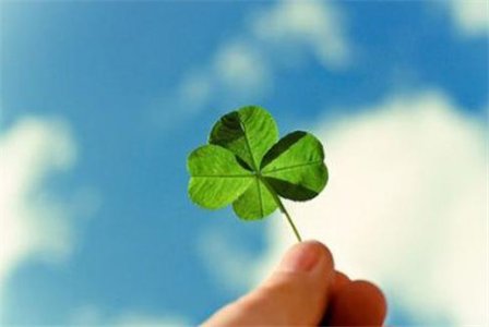 写樱花的优美句子