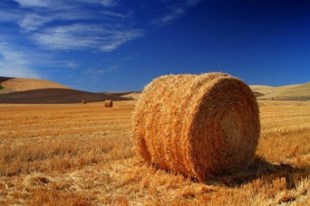 有内涵的表白句子