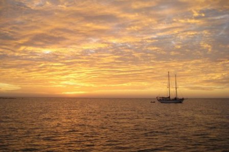 心境积极向上的句子