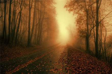 品味寂寞的经典伤感说说