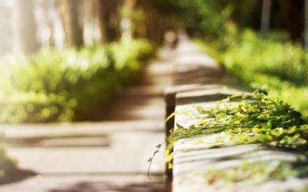 一个人的等待说说