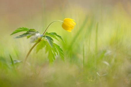 激进励志的句子