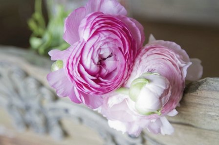 爱情唯美真心句子