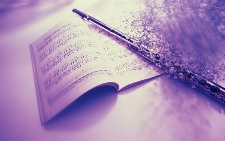 面向阳光的励志句子