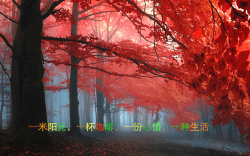 伤感句子看了想流泪