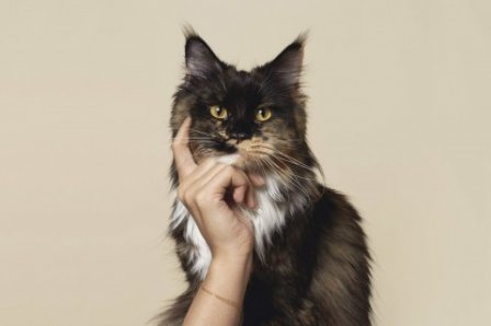 很有吸引力的搞笑说说