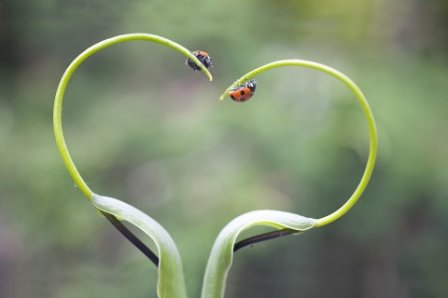 关于励志的爱情说说