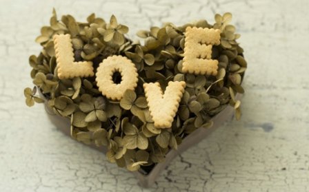 具有人生道理的句子