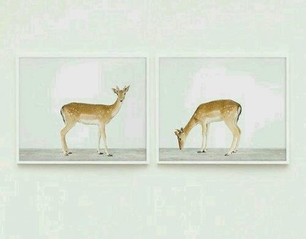 冰冷的心伤感句子