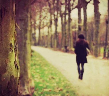 描写相识的唯美句子