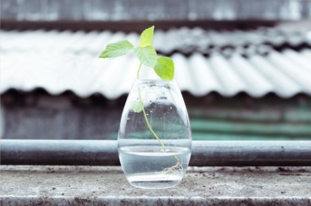 默默一人的唯美句子