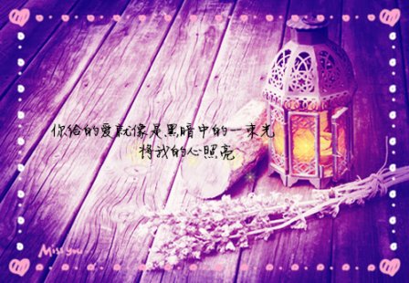 爱情纯真的句子