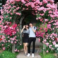 甜蜜情侣头像一对两张